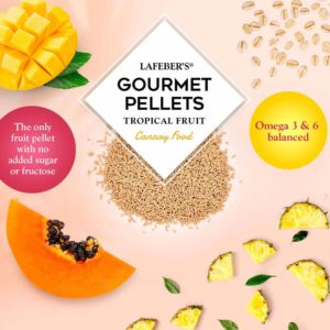 72620 Tropical Fruit Gourmet Pellets for Canaries gourmet
