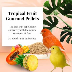 72622 Tropical Fruit Gourmet Pellets for Canaries no sugar added
