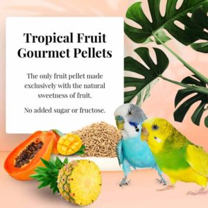 72630 Tropical Fruit Gourmet Pellets for Parakeets no sugar added
