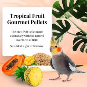 72640 Tropical Fruit Gourmet Pellets for Cockatiels no sugar added