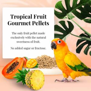 72645 Tropical Fruit Gourmet Pellets for Conures no added sugar