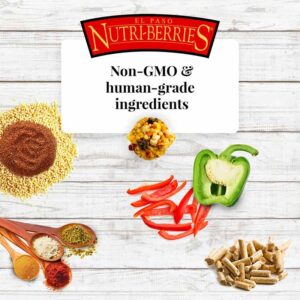 82152 El Paso Nutri-Berries non-GMO