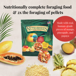 05750-parrot-foraging-fun-pack-tropical-fruit-nutri-berries-lifestyle-image-web-0722