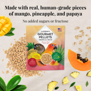 05745-conure-classic-nutri-berries-tropical-fruit-pellets-lifestyle-image-web-0722