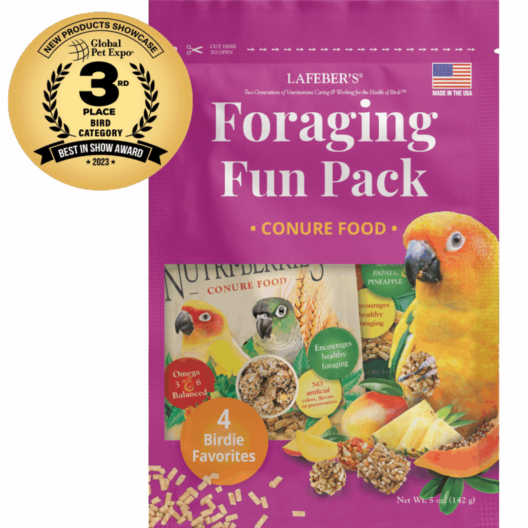Conure ffp