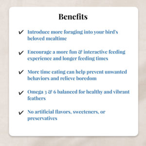 05740 List of benefits of the Foraging Fun Pack for Cockatiels