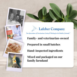 05740 info about Lafeber Company for the Foraging Fun Pack for Cockatiels
