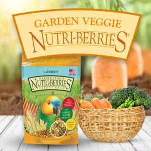 Garden Veggie Nutri-Berries