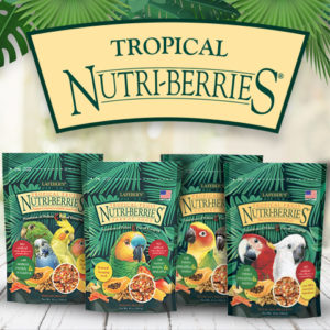 Tropical Nutri-Berries