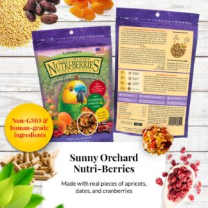 Sunny Orchard