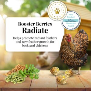 Radite LS SEP24