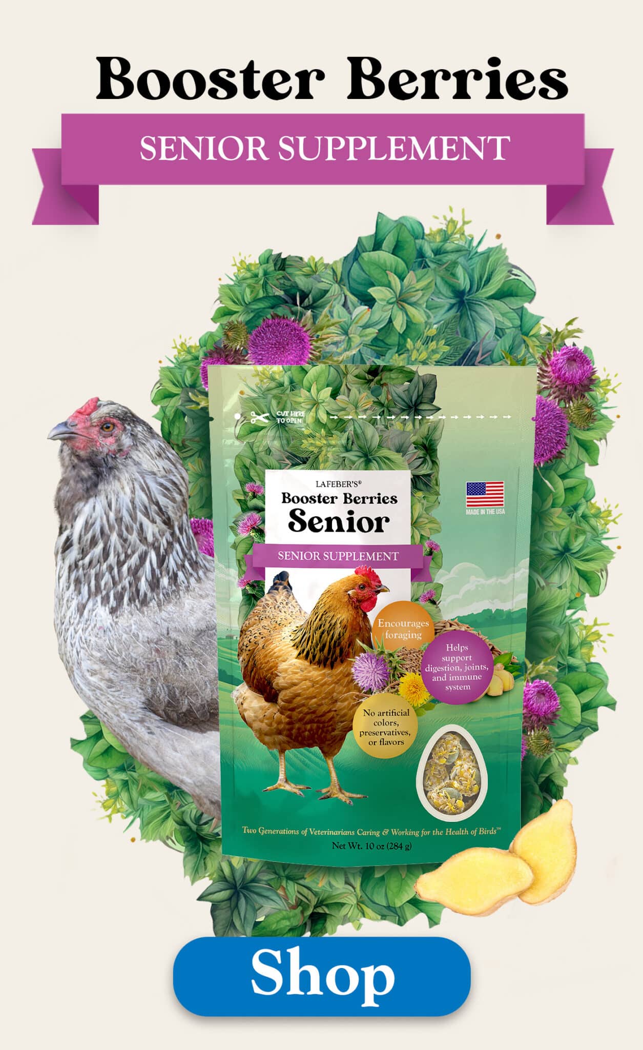 Left Ad Image