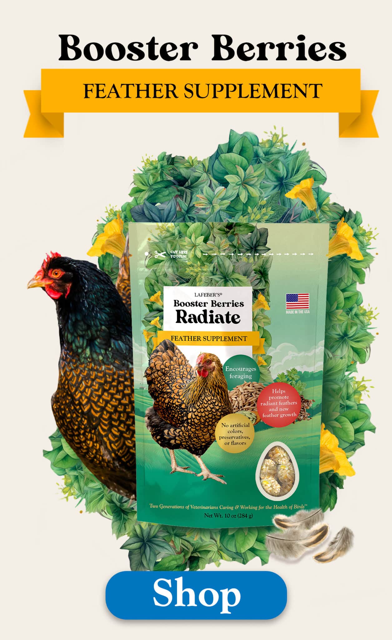Left Ad Image