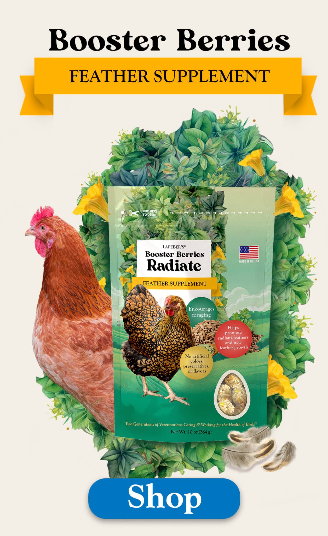 Left Ad Image
