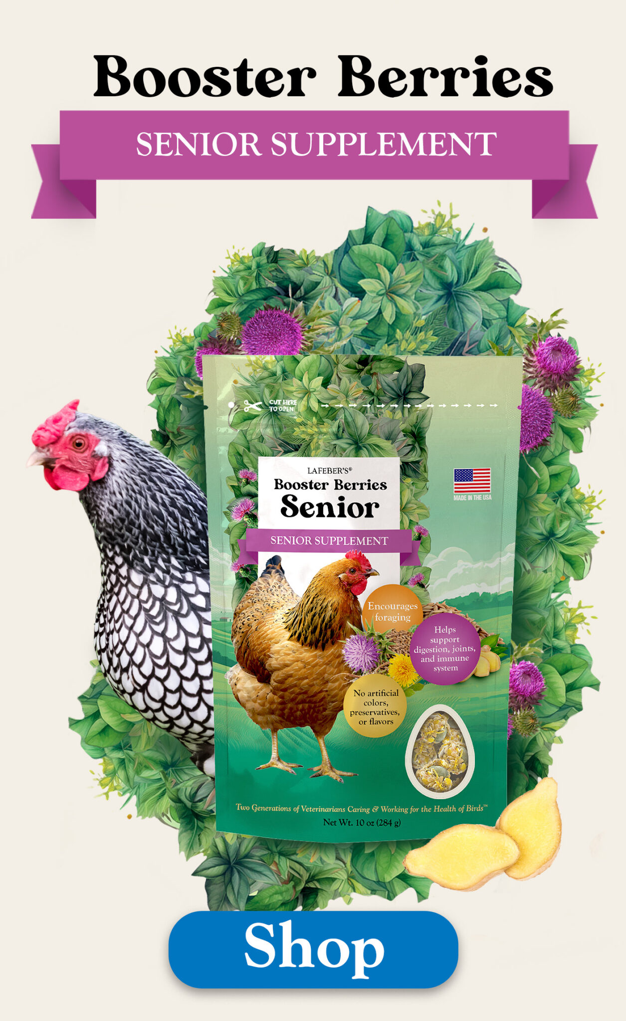 Left Ad Image