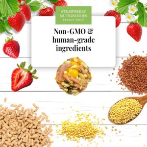 Parrot Ingredients