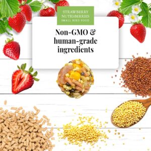 Sm Bird Ingredients