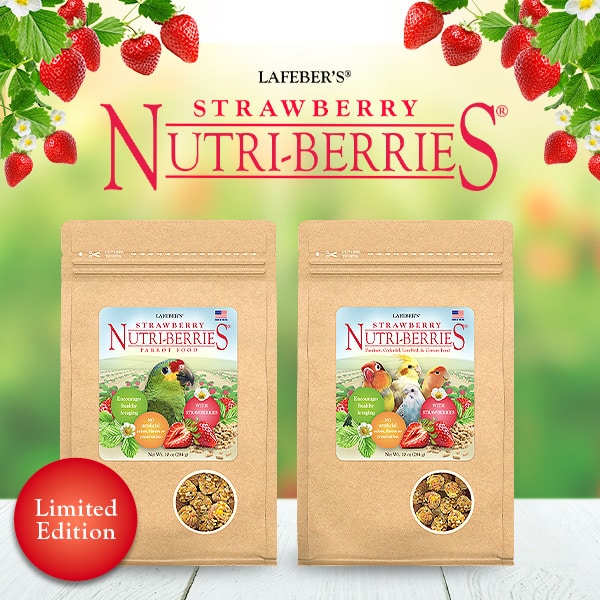 Bird Food – Lafeber Company