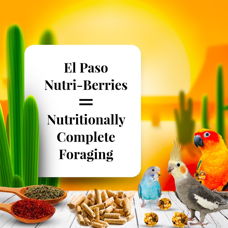 El Paso Nutri-Berries for Small Birds 10 oz – Lafeber Company
