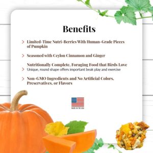 Benefits- Sm Bird
