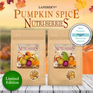 LIMITED EDITION Pumpkin Spice Nutri-Berries