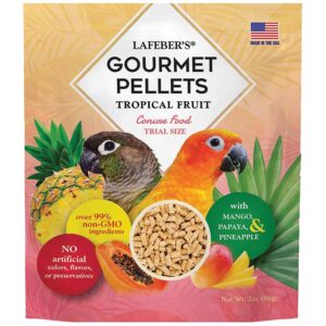 Tropical Fruit Pellets for Conures 2 oz
