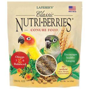 Classic Nutri-Berries for Conures 1 oz