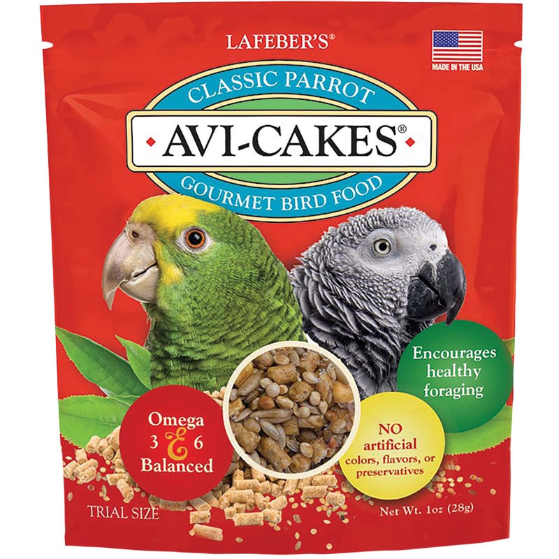 86031-V1-AviCakes-Parrot-SEP21-HR.jpg