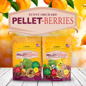 Pellet-Berries