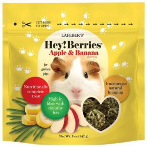 43120-V1-Hey!Berries-Apple-Banana-guinea-pig-FEB25