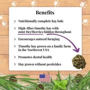 Benefits -Guinea Pig