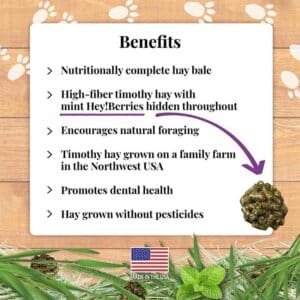Benefits - Rabbit