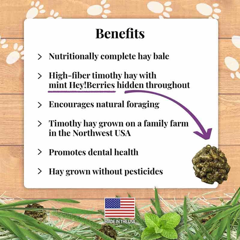 Berrie-Bale Mint for Rabbits 1 lb – Lafeber Company