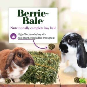 Berrie Bale-Rabbit LS
