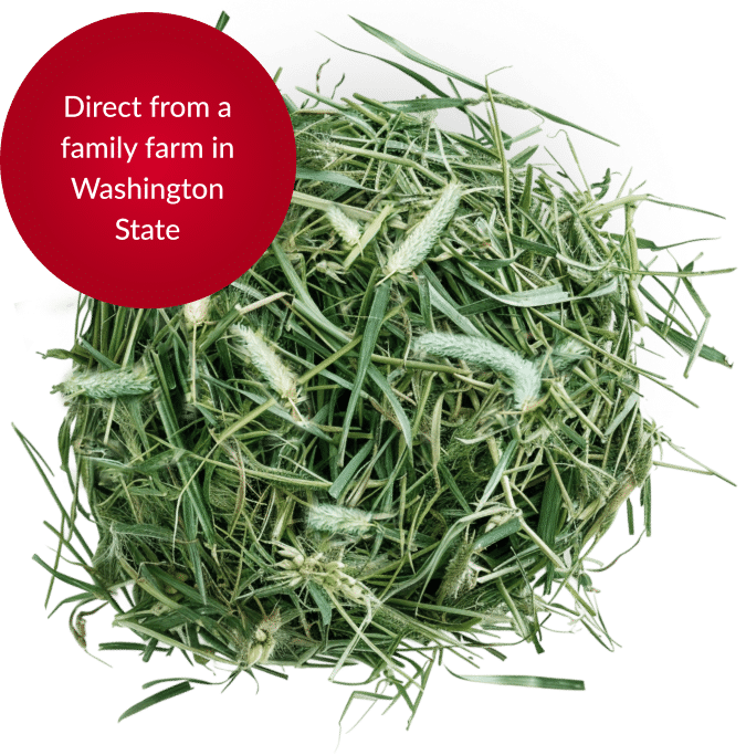 haywithcircle