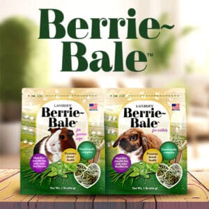 Berrie-Bale