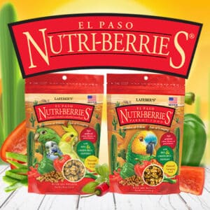 El Paso Nutri-Berries