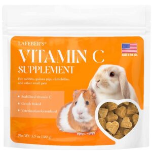 46100-V1-Vitamin-C-3.5-oz-0226-WEB