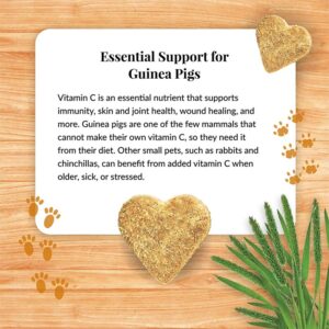 az-46100-vitamin-c-supplement-3-0426
