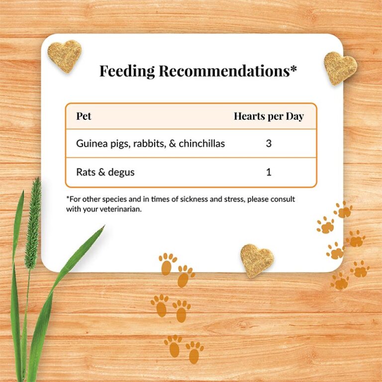 Vitamin C Supplement for Guinea Pigs, Rabbits, Chinchillas, and Other ...